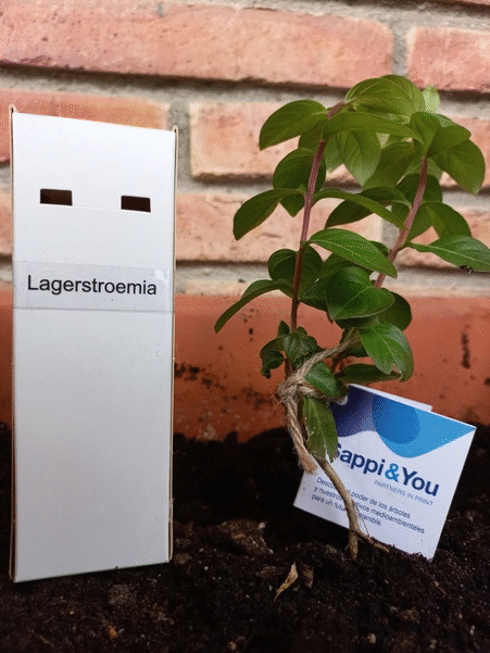 dia medioambiente sappi