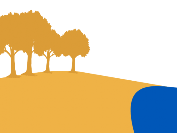 trees landscape