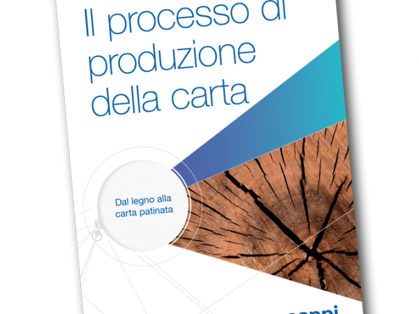 paper making process technical brochure  it