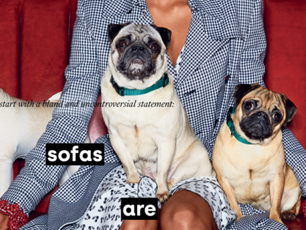woman sitting with pugs