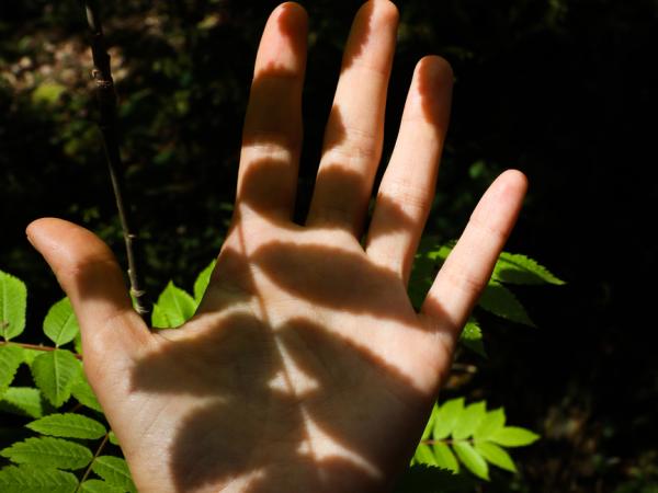 Hand with leaves shadow
