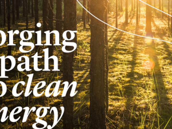 Sustainability highlights