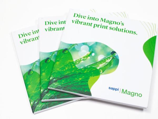Medium-Magno Direct mail_1.jpg
