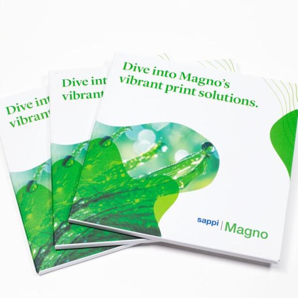 Medium-Magno Direct mail_1.jpg