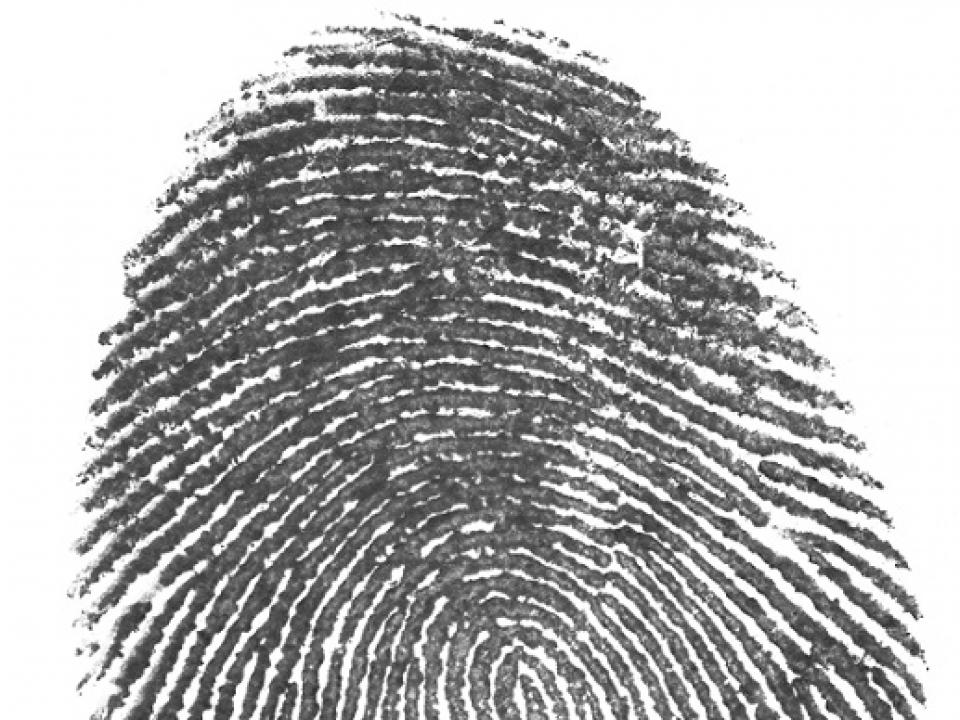 fingerprint picture