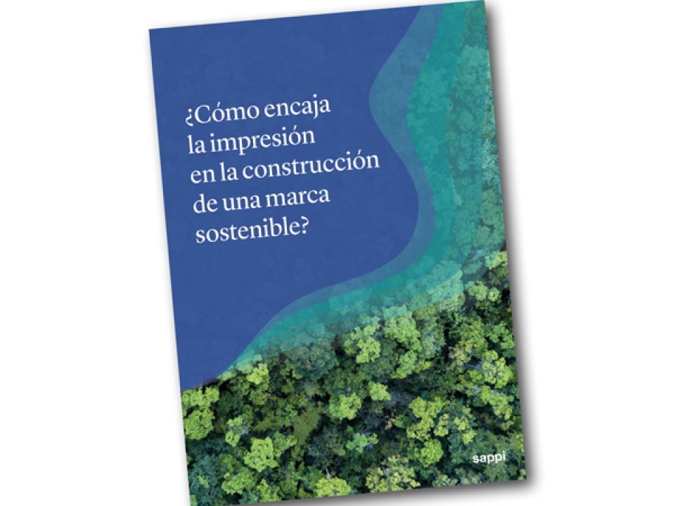 white paper sustainability  ES