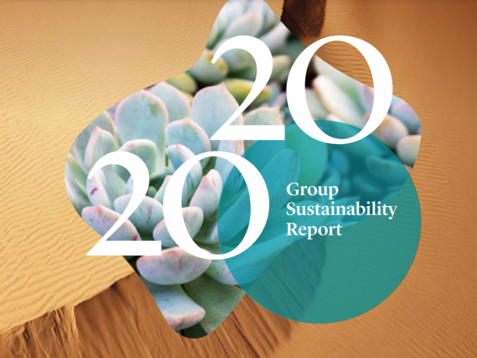 2020 sustainability report sappi global