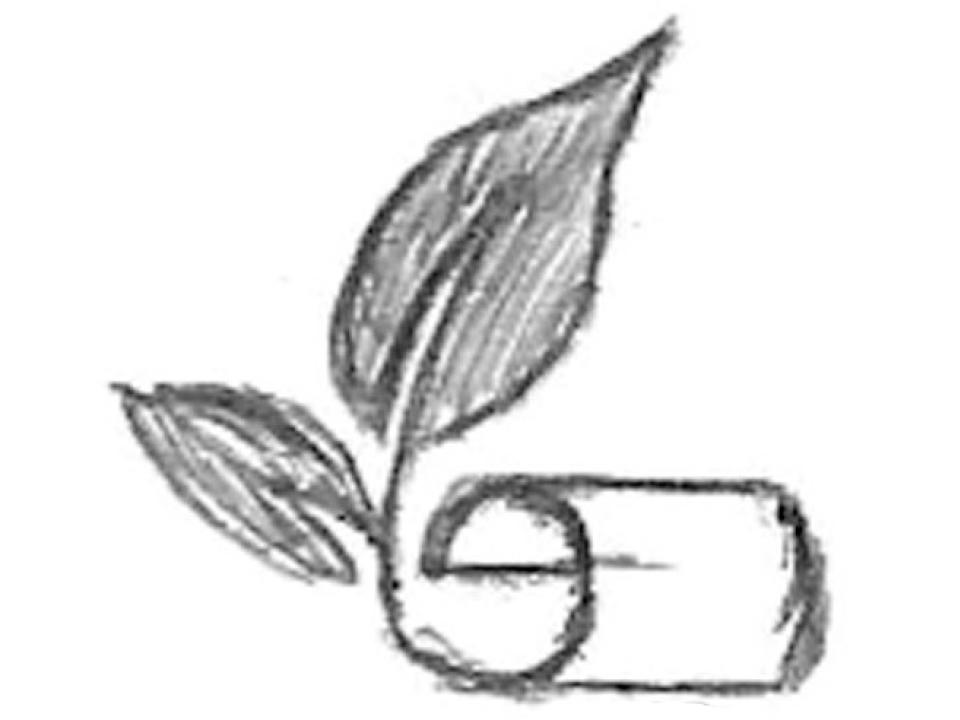 Piu Carta Piu Alberi Project