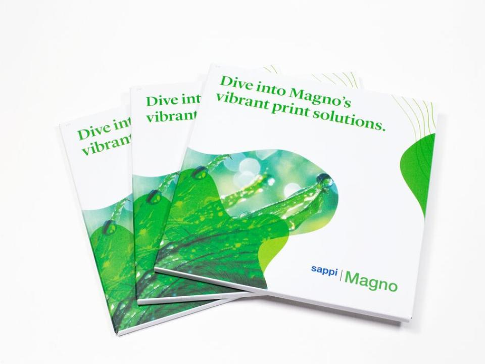 Medium-Magno Direct mail_1.jpg