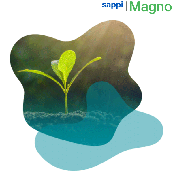 Sustainable