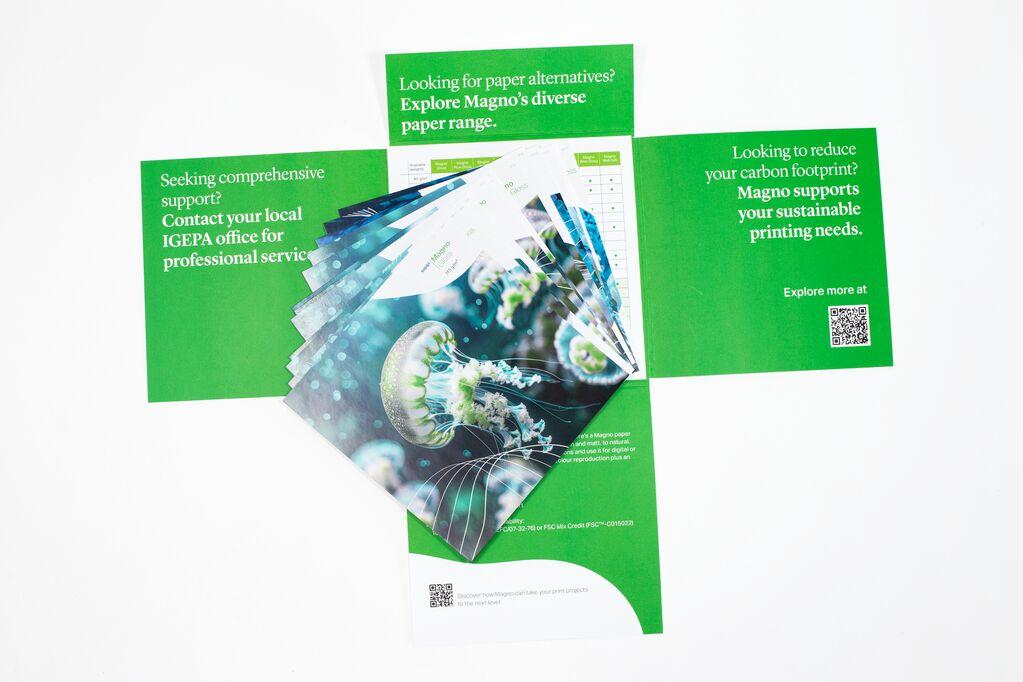 Medium-Magno Direct mail_4.jpg